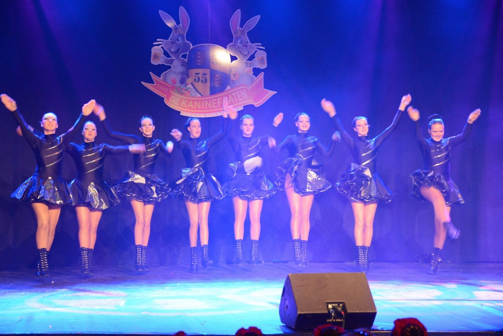 ../Images/Dansmarieke festival 2015 220.jpg